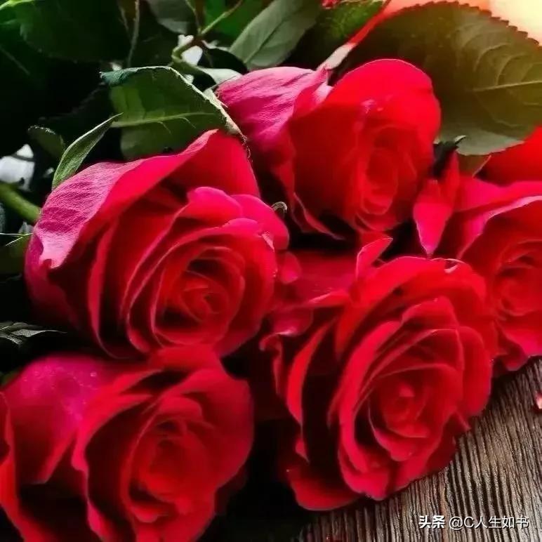 婚姻中女人不要太强势了,婚姻中女人要放养男人的心