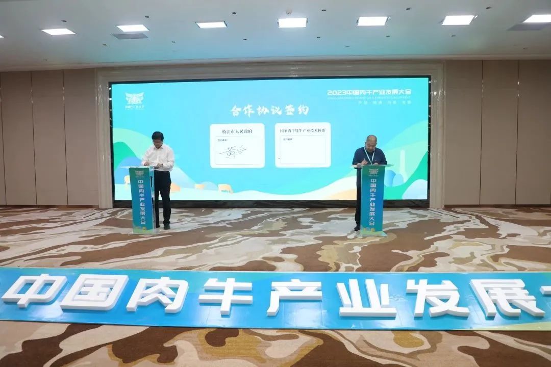 枝江肉牛产业发展,中国肉牛产业规划