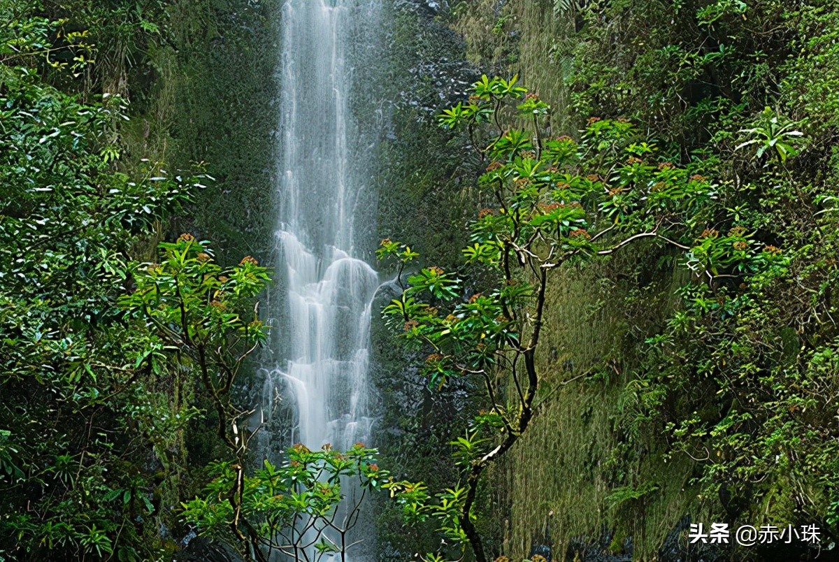 c罗的家乡在葡萄牙哪里,c罗的家乡在葡萄牙什么地方