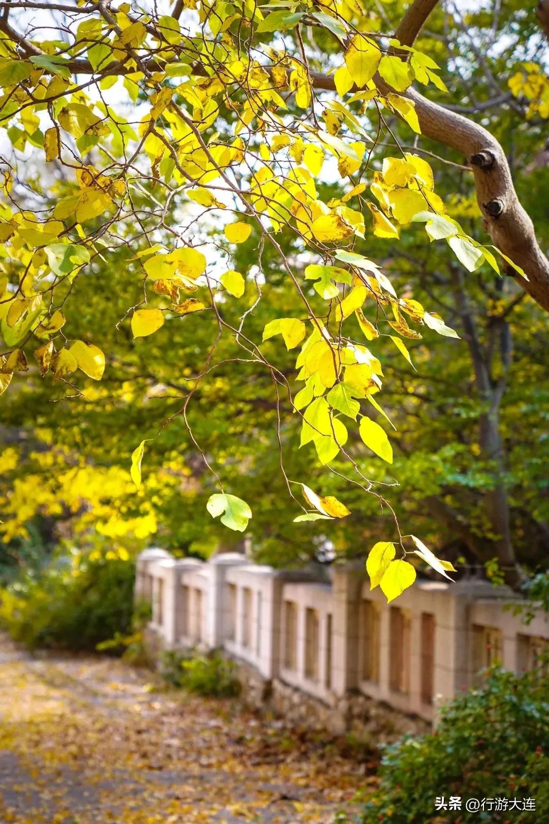 大连到旅顺游玩攻略,大连好玩的地方推荐旅顺海边