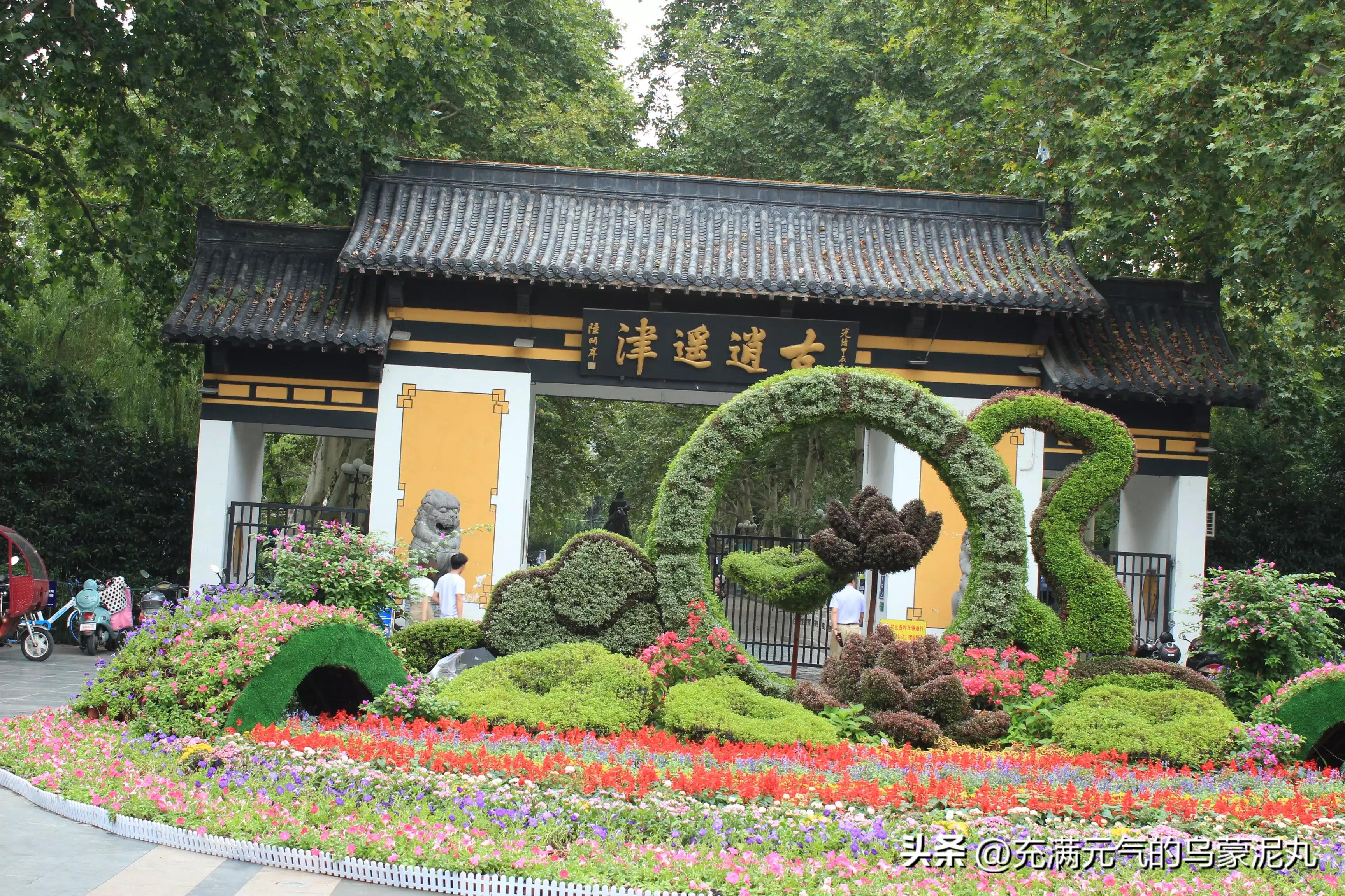 被保健品蛊惑的老人,被保健品骗的老人