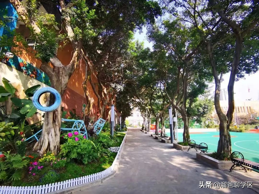 哪些小区可以读泸州七中,哪些小区上成都七中水井坊校区