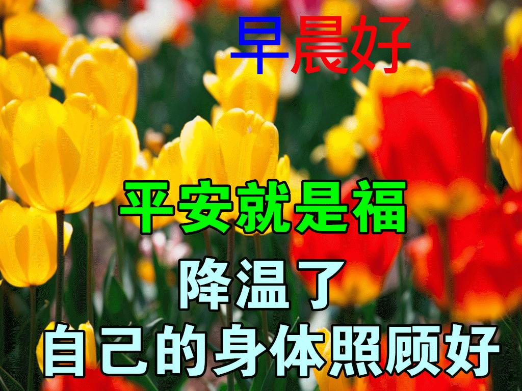 九月早上祝福,九月九早上好的祝福视频