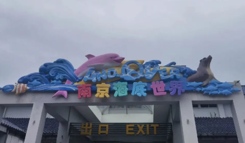 南京海底世界附近的旅游景点推荐,南京海洋馆海底世界附近景点