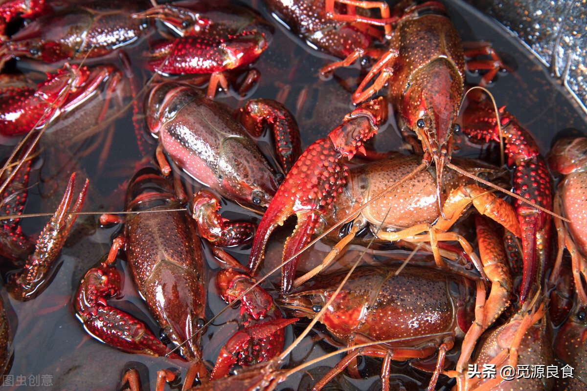 为什么广东人都敢吃小龙虾 (广东人吃小龙虾是这样的)