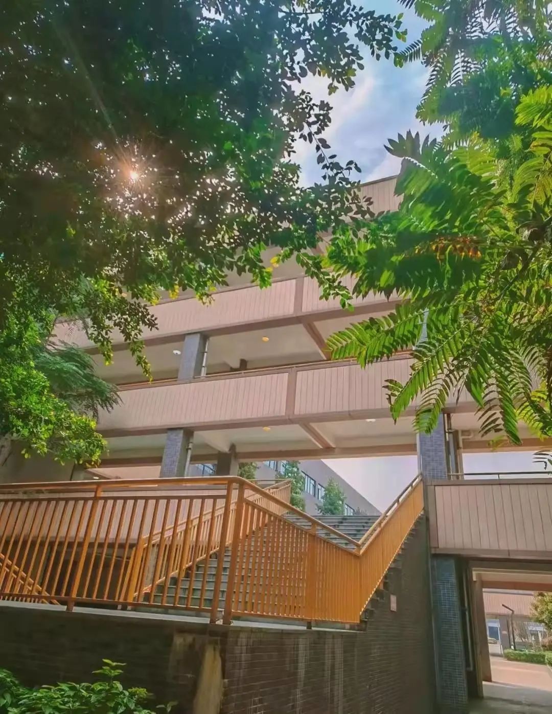 成都市实验外国语学校温江校区,成都市实验外国语学校有几个校区