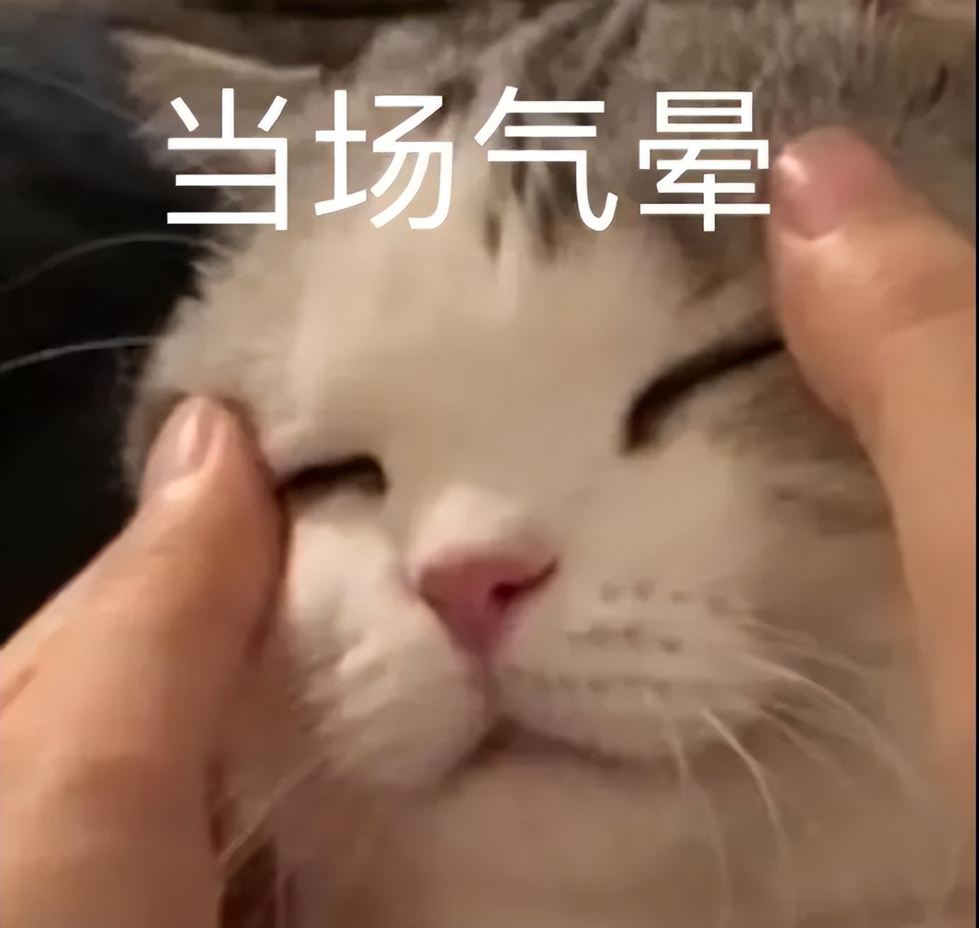 女孩子外阴长啥样才正常？（正经科普）