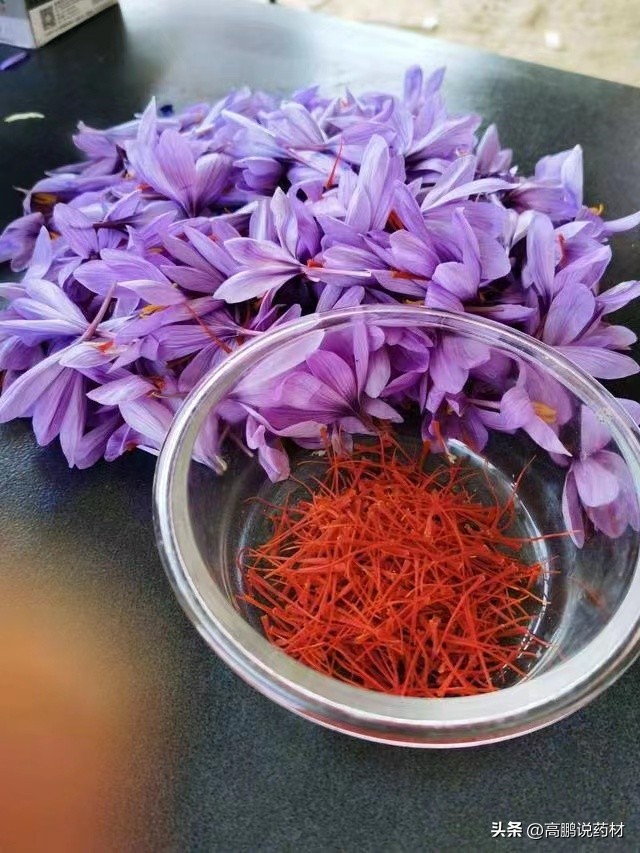 高鹏说药材：2023年药食同源品种种植推荐—西红花