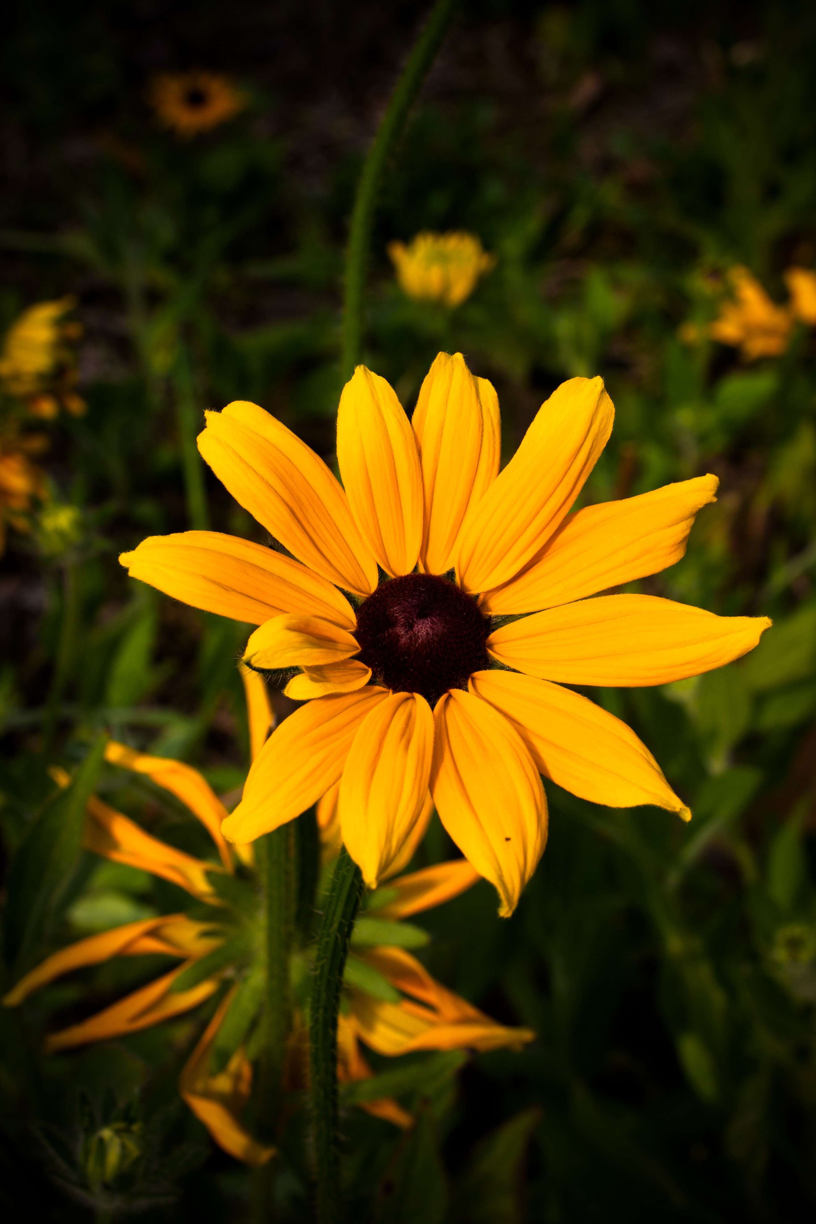 相机推荐排行榜性价比高学生党,2021学生党便宜好用的相机