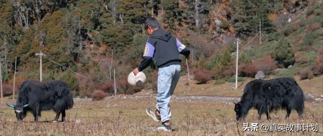 数学老师带着小朋友们去校园,数学老师带着孩子来学校