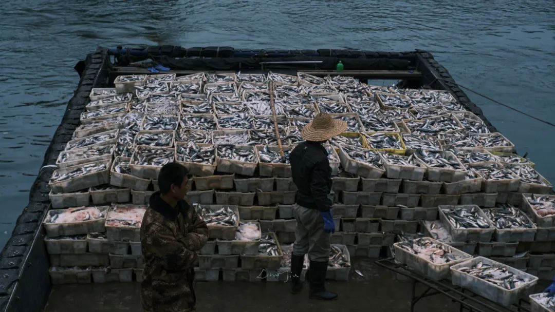 你根本没有去过侨港