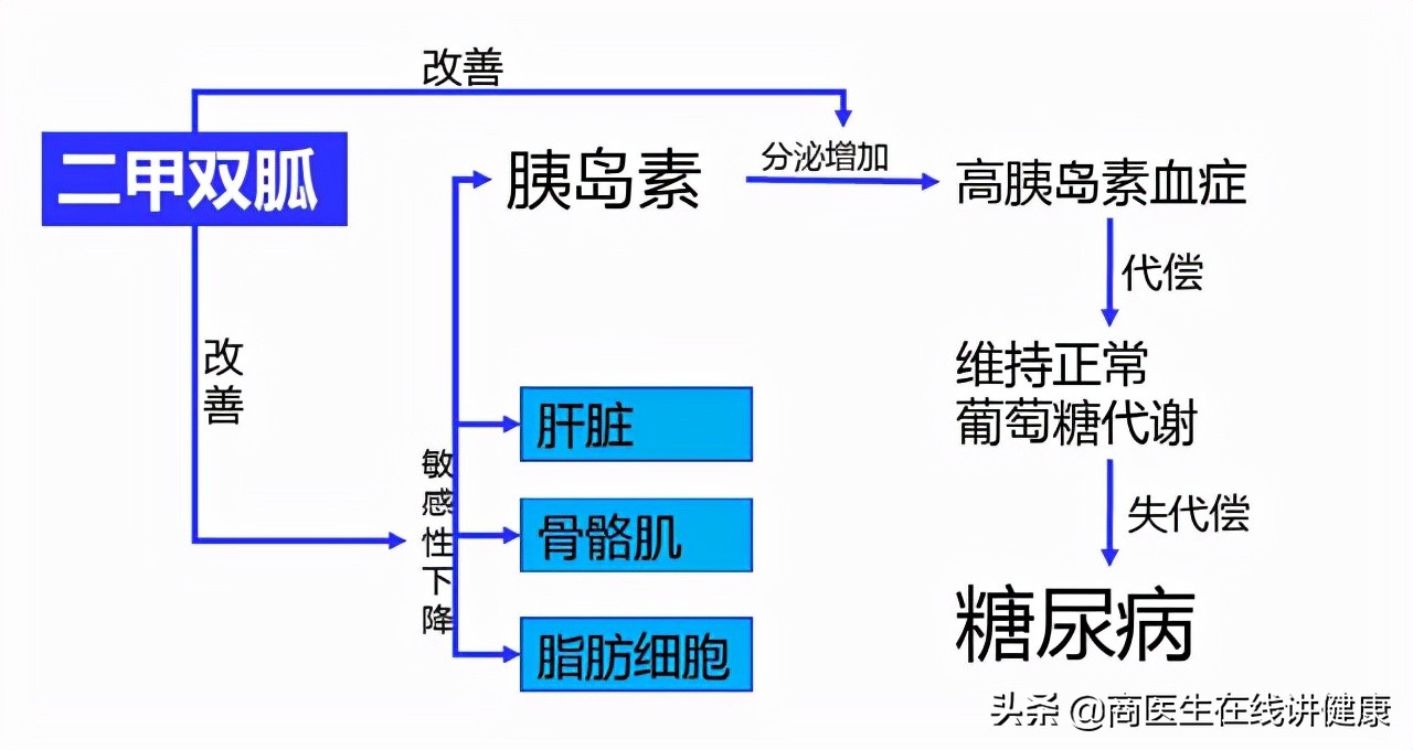 糖尿病吃二甲双胍造成胃难受,糖尿病人吃二甲双胍后有什么反应