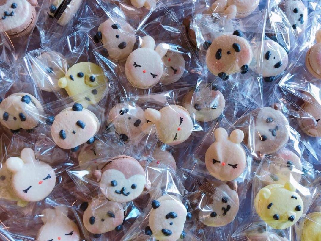 marsha缇庡浗,marsha鏃呮父