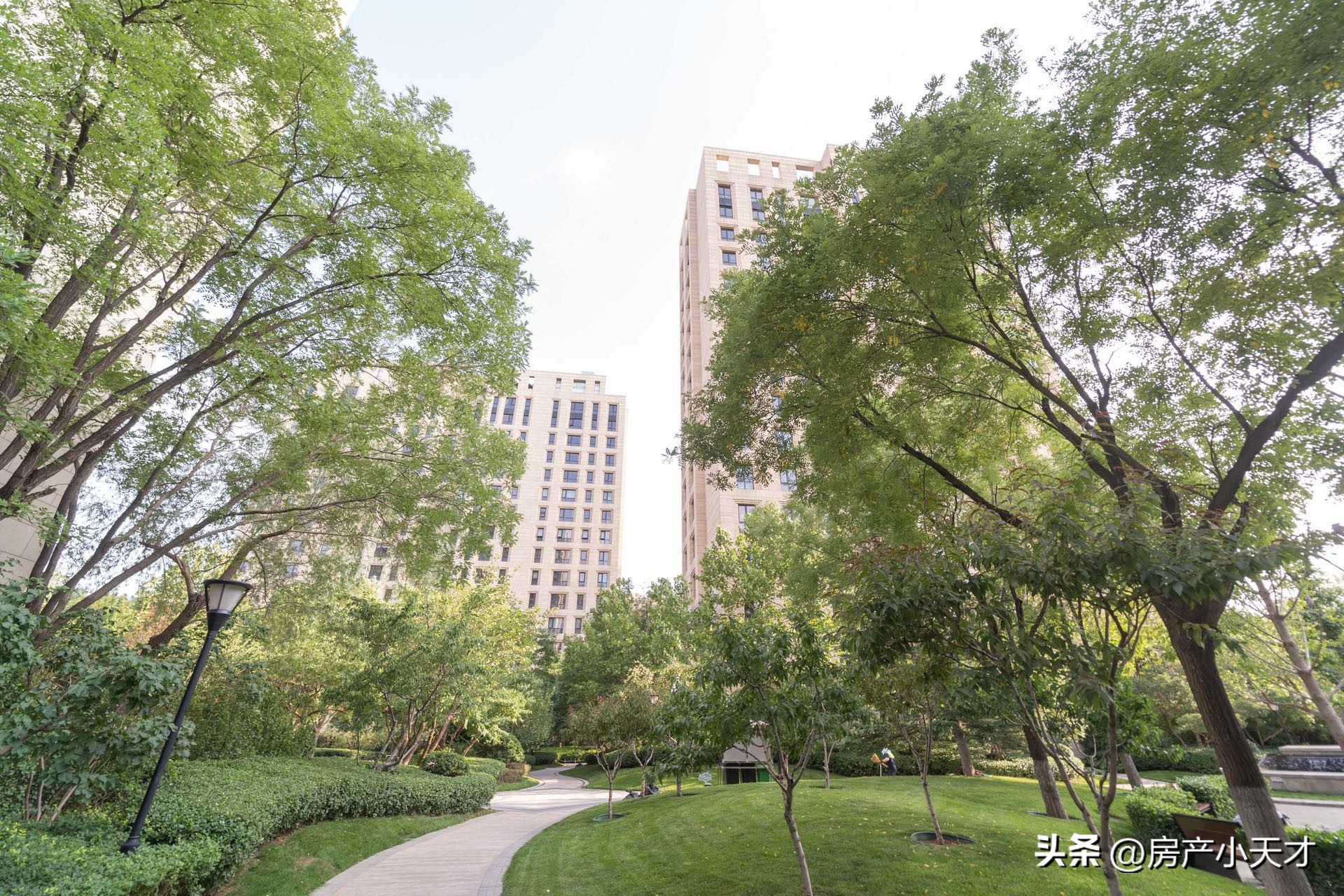 北京望京高档房排名,望京最好的富人区