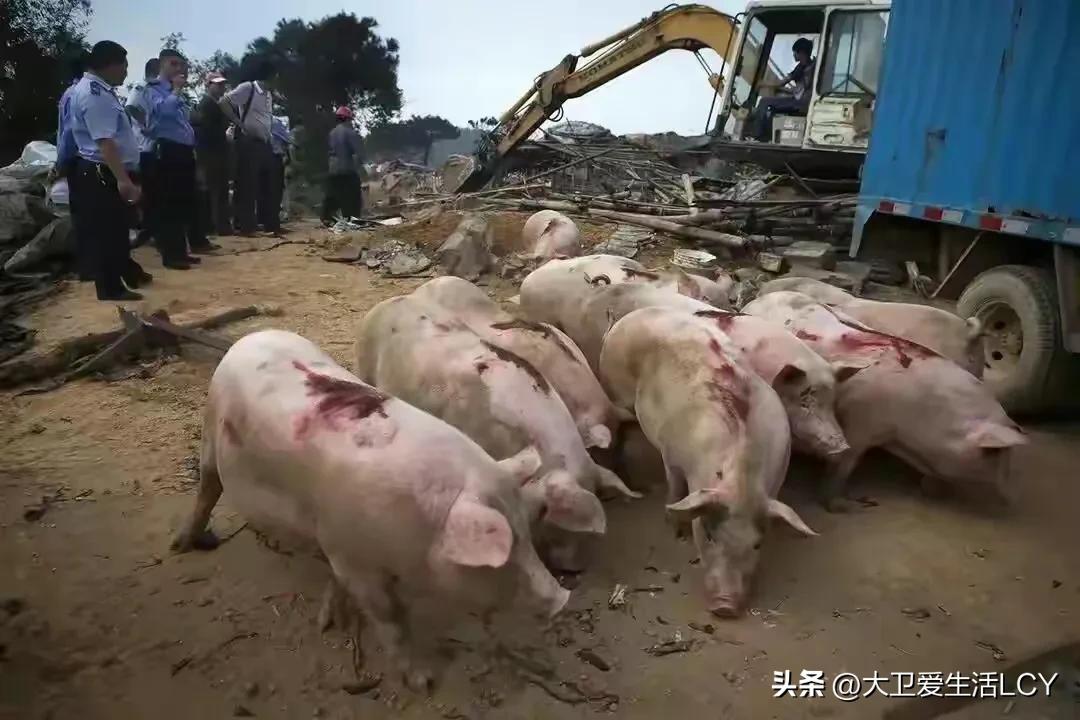 微头条200万展现量什么水平,微头条200万展现量多少收益