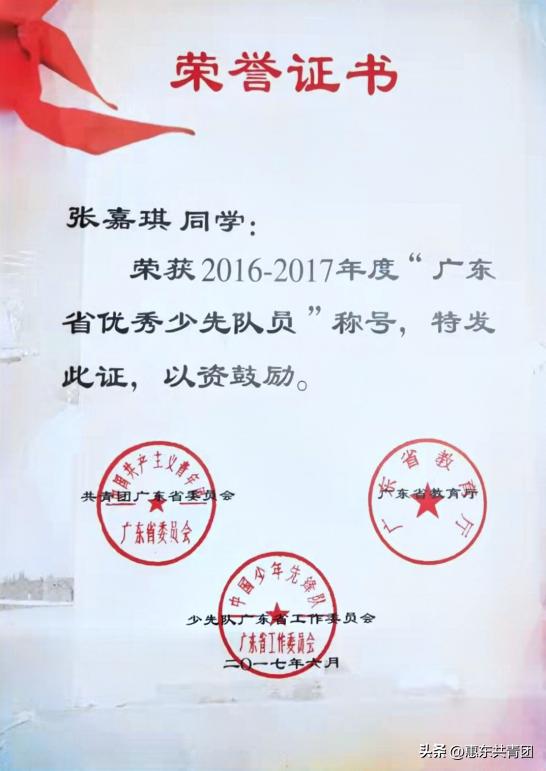 广东优秀共青团员的事迹,2020年度广东省优秀共青团员