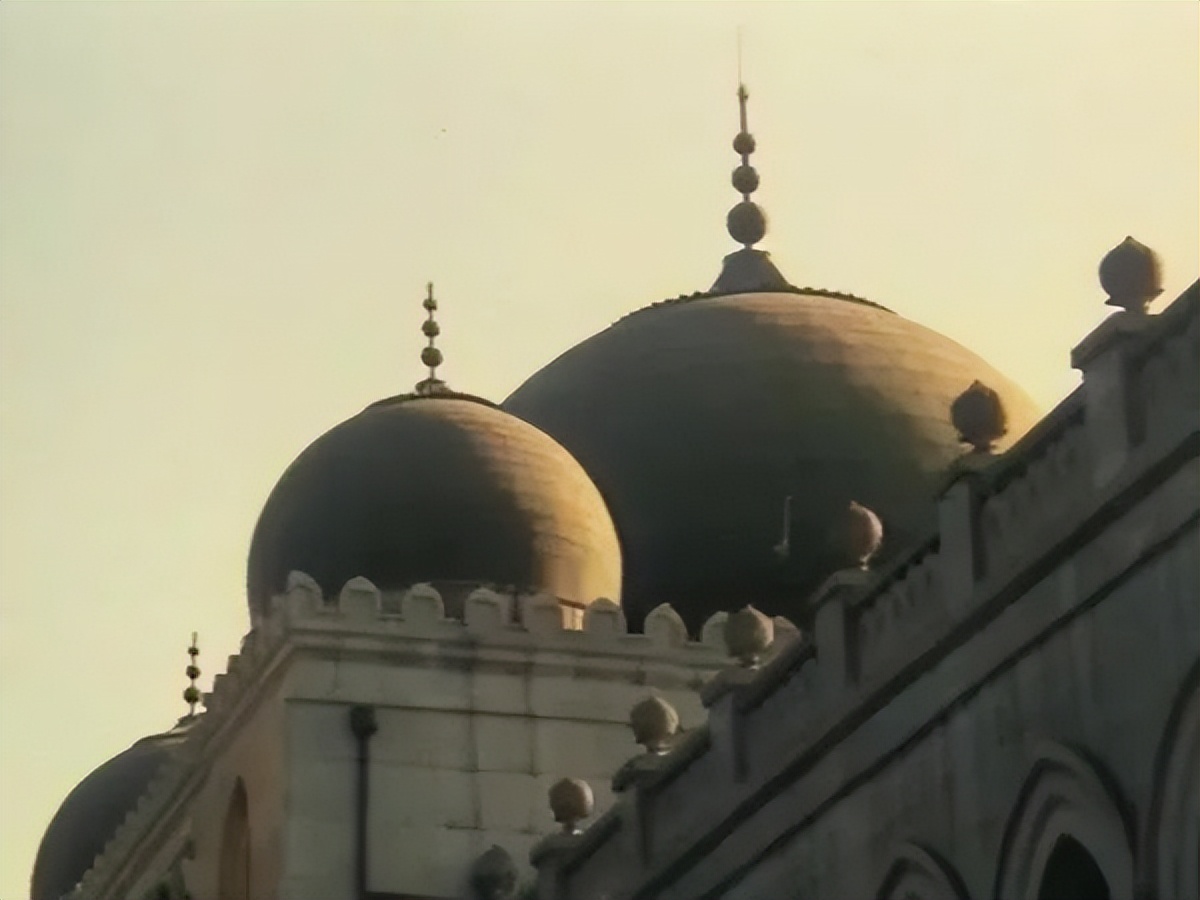 穆斯林的葬礼这本书为什么能获奖,穆斯林的葬礼这书讲了什么