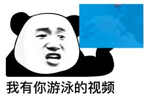 熊猫贴在墙上表情,震惊熊猫表情素材