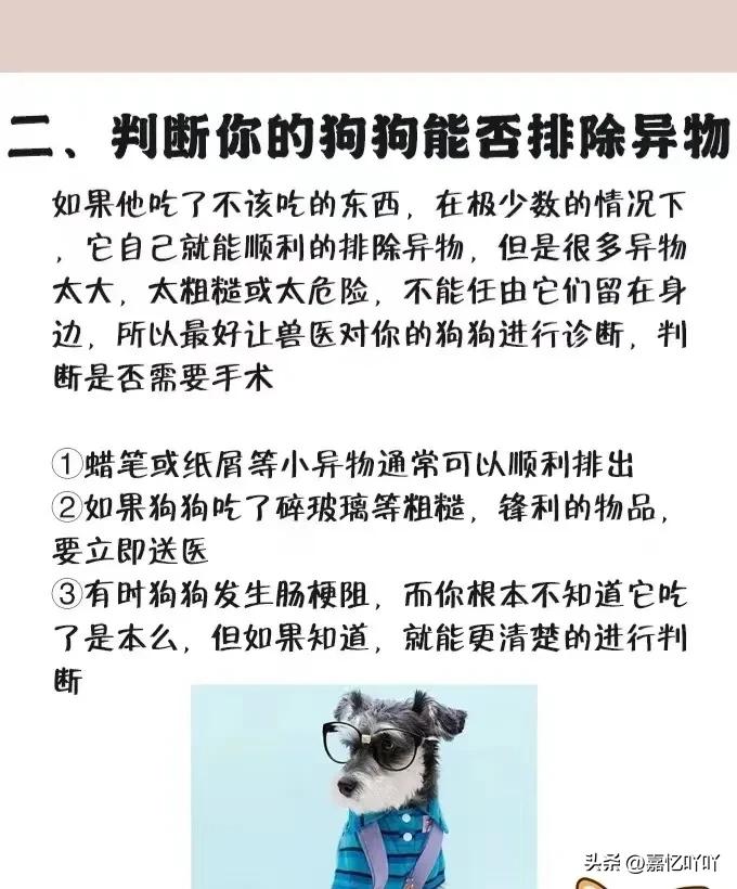 狗狗不小心吞食异物有什么症状,狗狗肠子堵住了怎么排出来异物