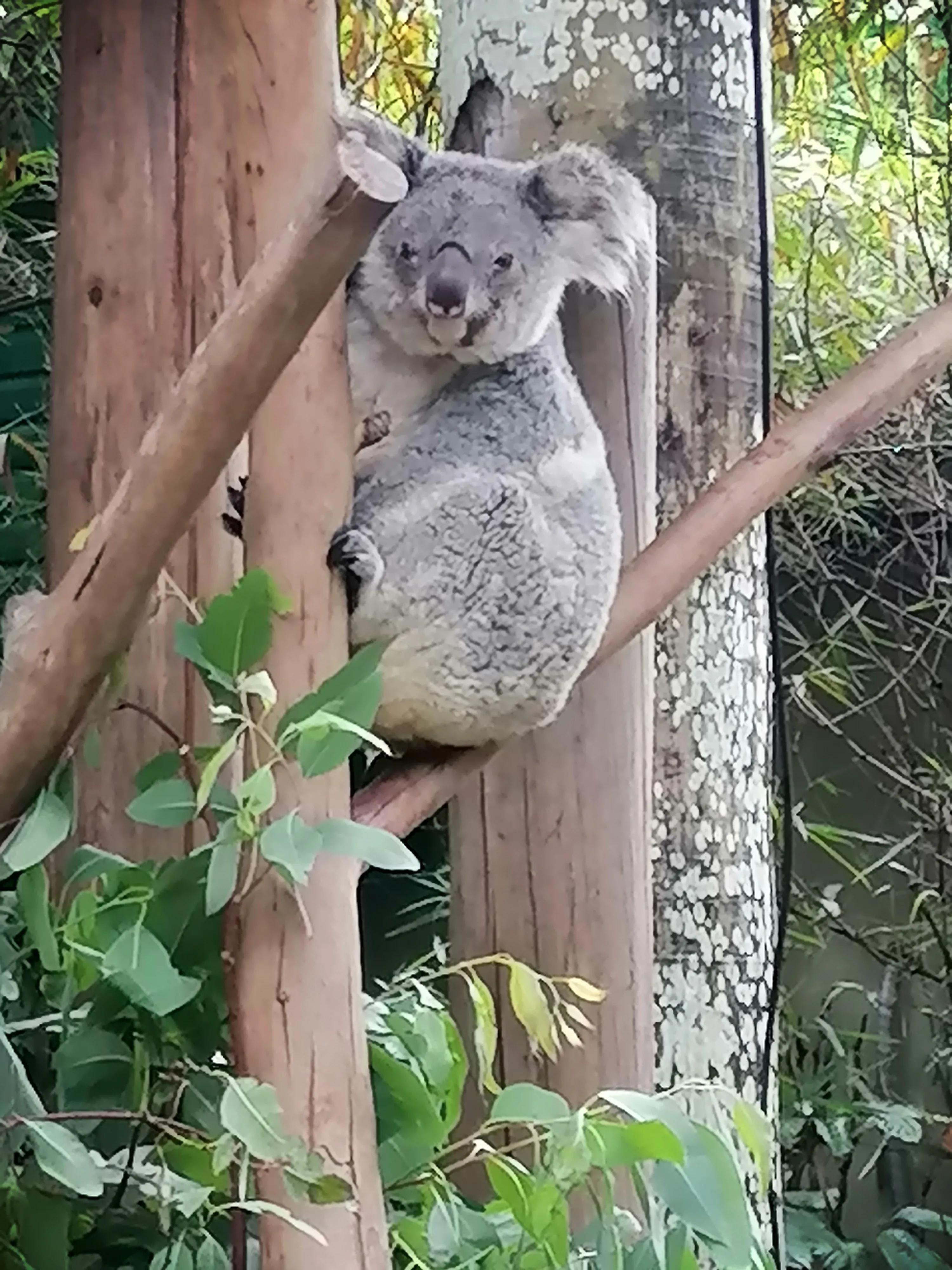 为什么习惯凌晨三四点醒来,每天凌晨1到3点醒来再难入睡