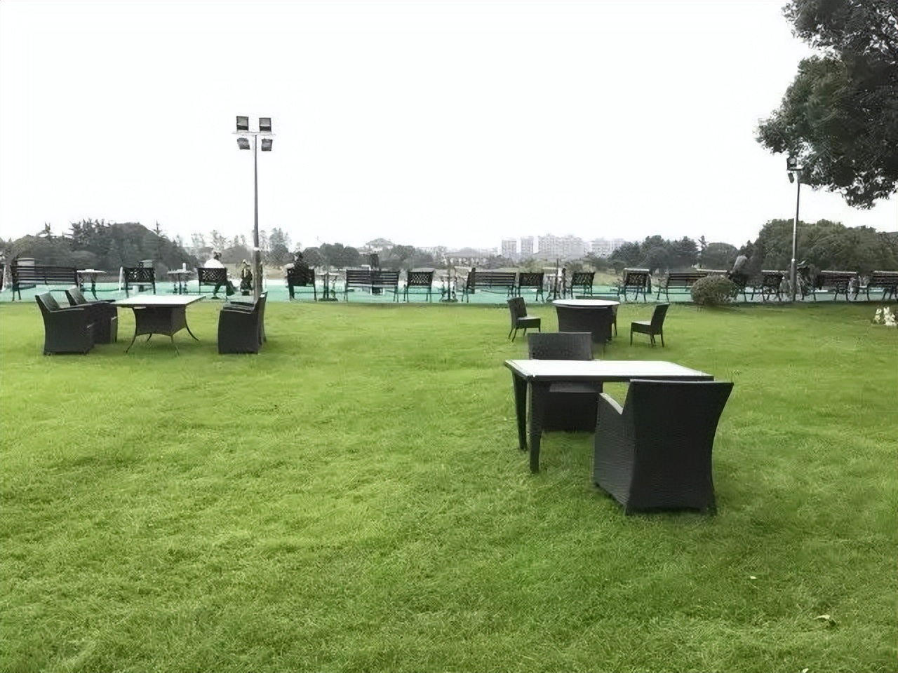 一个橄榄球球场,欧洲最有气氛的球场