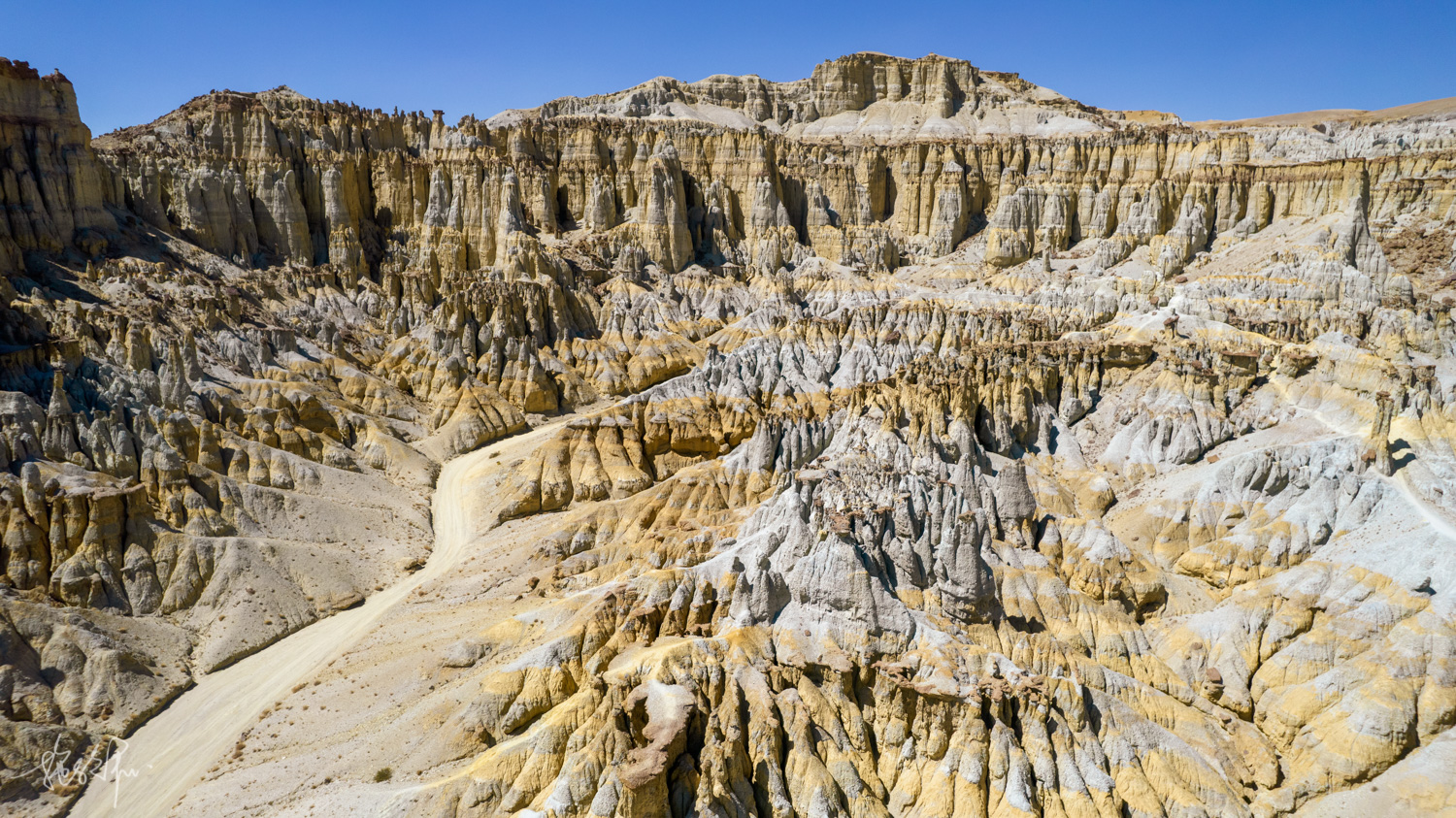 我的2022年度报告,我的2022原版