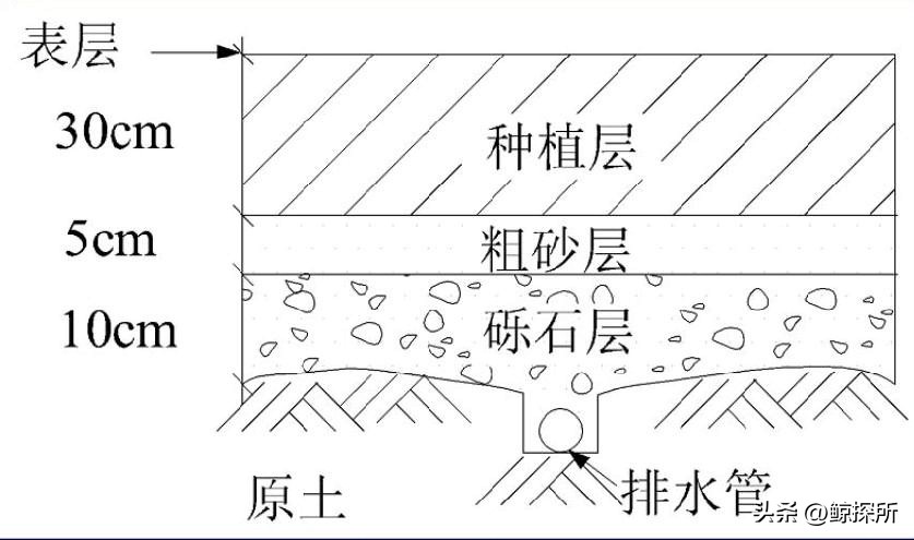混合草坪养护措施,混合草坪施工