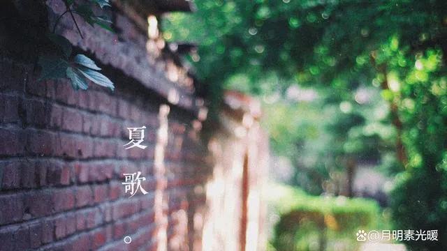 外汇投资方法和技巧,外汇的投资方式