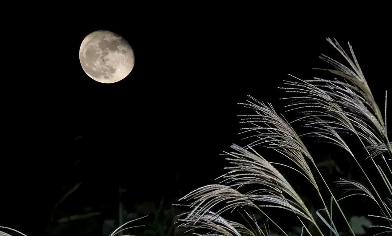 云岗新作《大孔》出版：这一年大孔进入了民国十七年