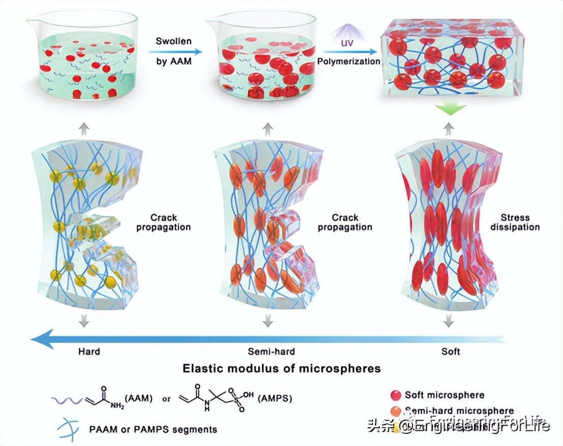 afm在纳米材料上的应用,afm有何应用