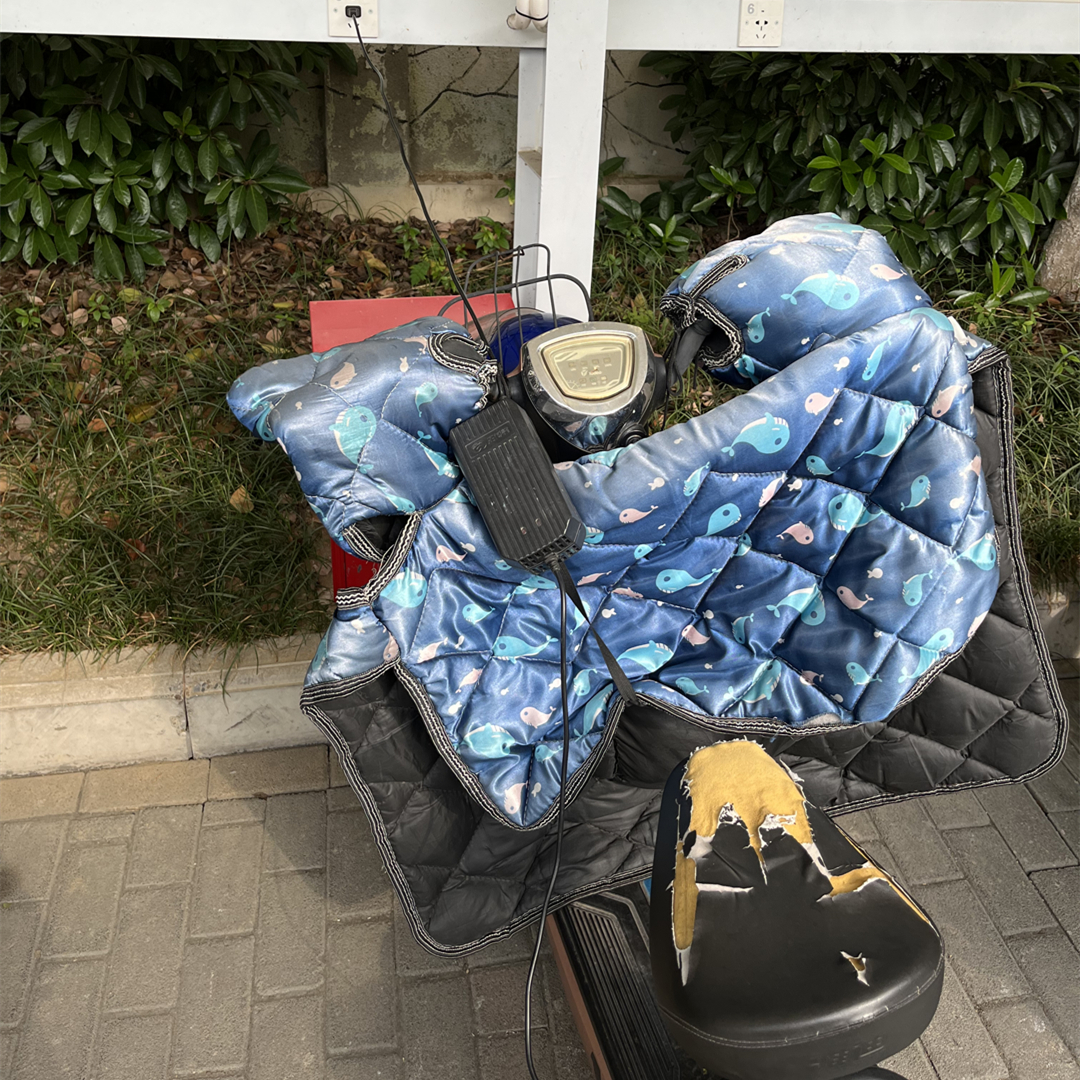 目前最值得买的电动车是哪一款,2500左右的电动车续航最高