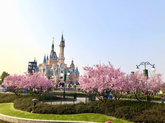 上海旅游必去十大景点,上海古镇十大必去景点