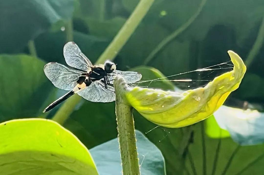 涓嶈闅忎究浣跨敤娲楁恫,瑕佷笉瑕佺敤澶栭槾娲楁恫