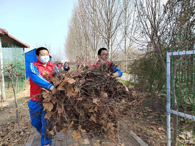 九中社会实践活动记录,四年级寒假劳动实践活动记录