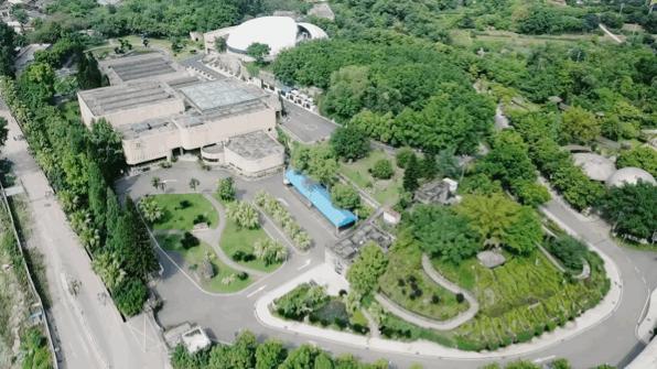 如果你要写自贡，就不要只写自贡