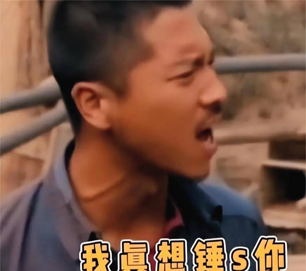 王雷黄轩陈宝国老戏骨实力派演员 (王雷黄轩戏份之争)