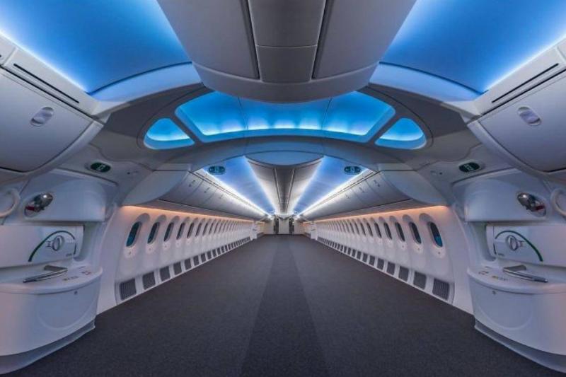 白色的心脏,火山灰覆盖的房屋,猫头鹰的大长腿,总有一张能震撼您