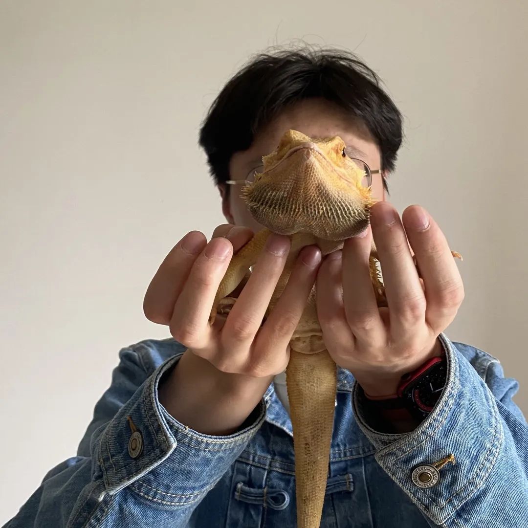 疫情与那些养爬行动物的人