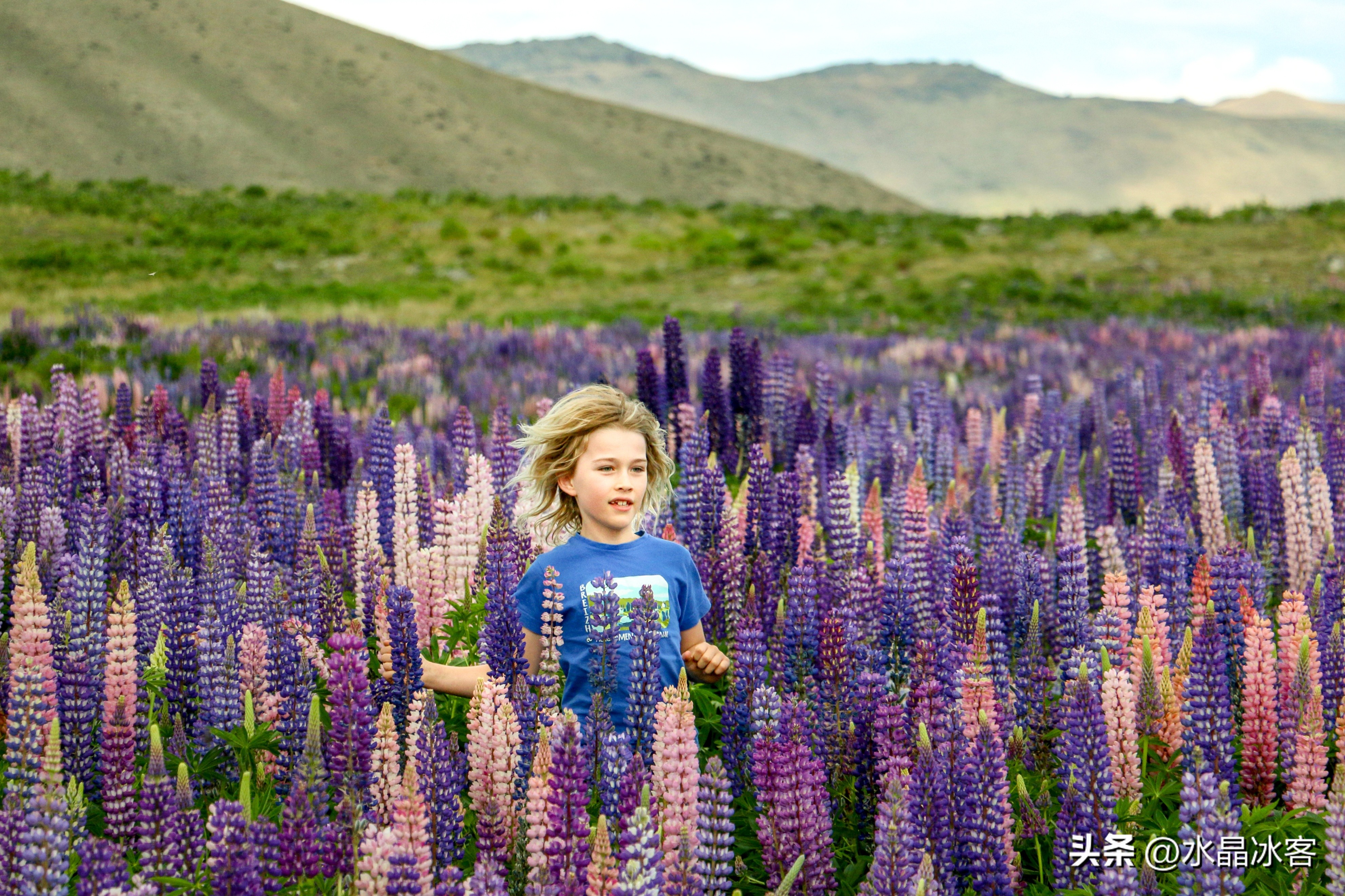 南岛新西兰之旅,新西兰之南岛