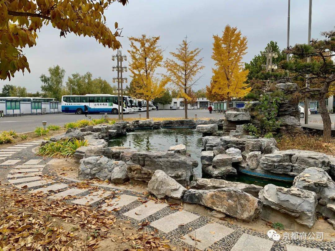 近视眼能考驾驶证吗有什么要求,近视眼怎么考驾驶证