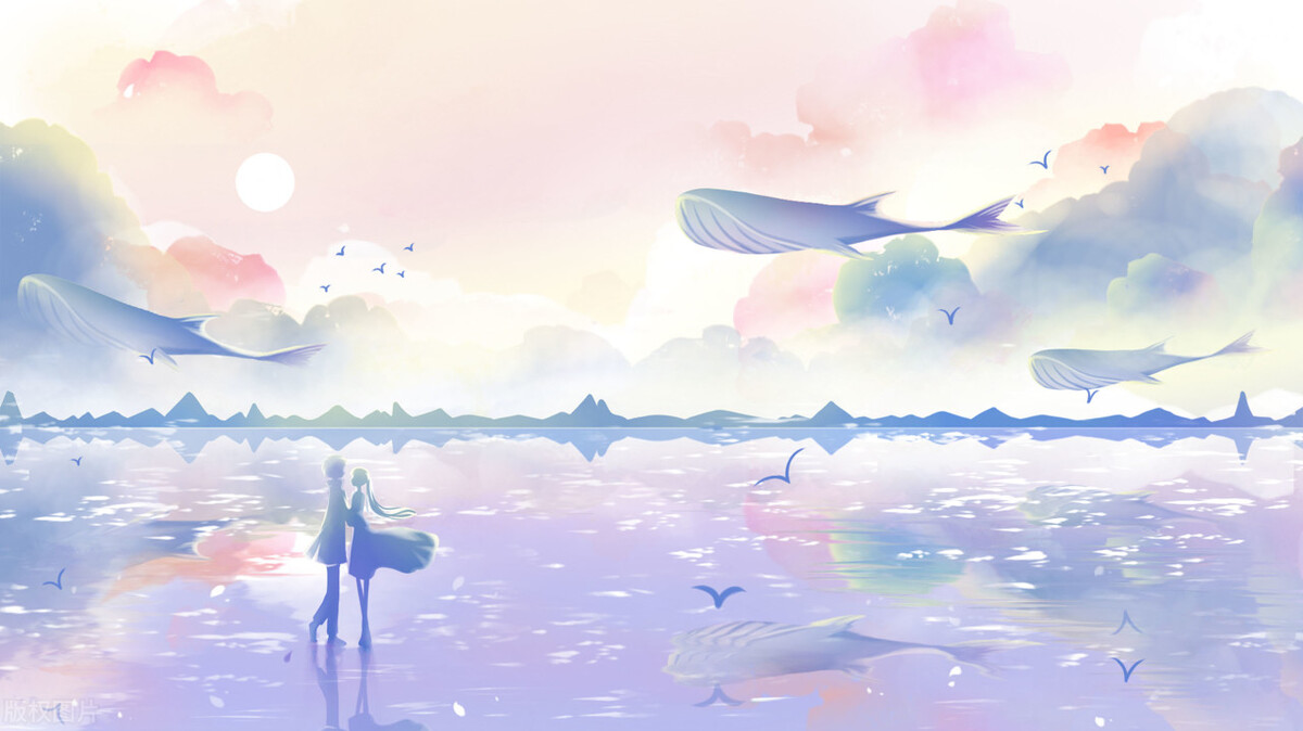 伤感放弃感情的句子（对某人失望心寒的句子）