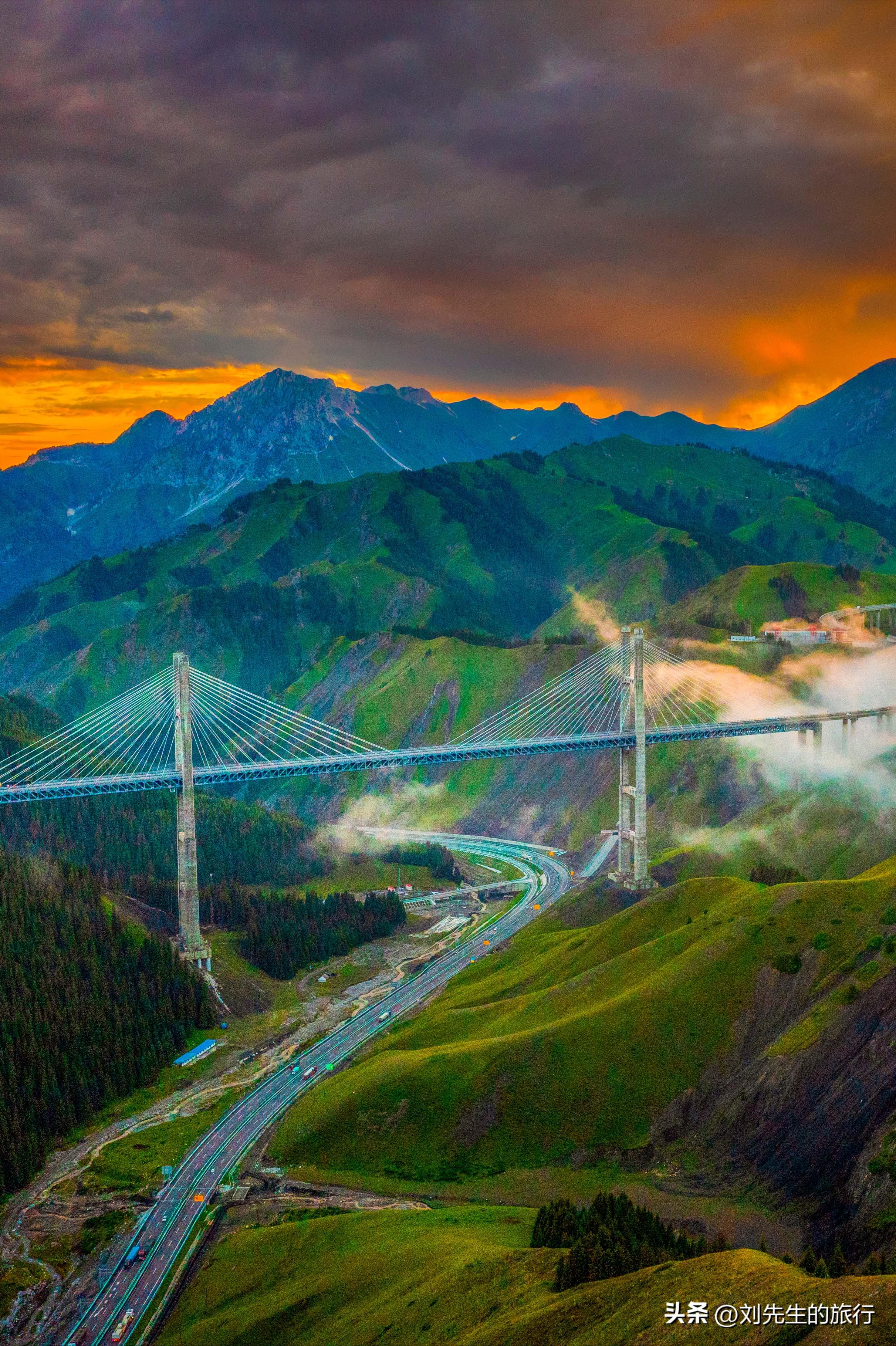 新疆伊犁春天满山遍野的花朵,伊犁的春夏秋冬美景