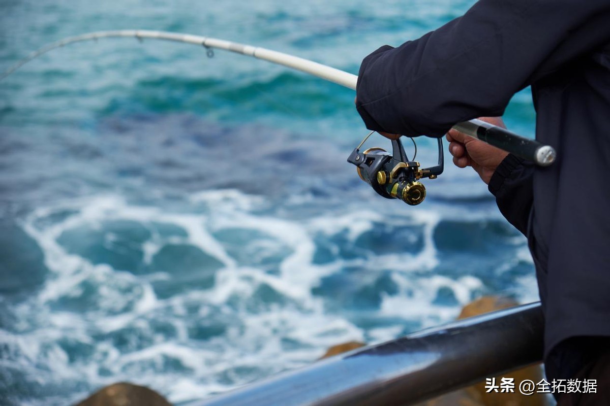 休闲垂钓形式,休闲钓鱼产业