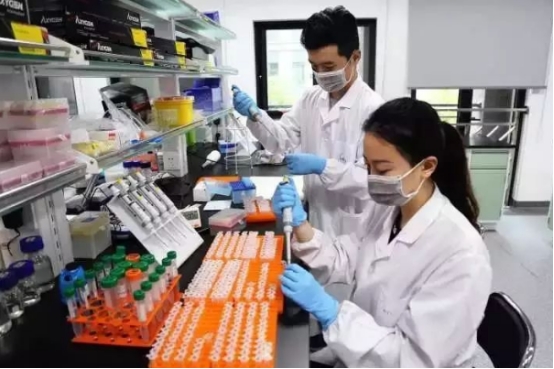 考研高校好还是研究所好,考研去科研院所好还是去高校读好