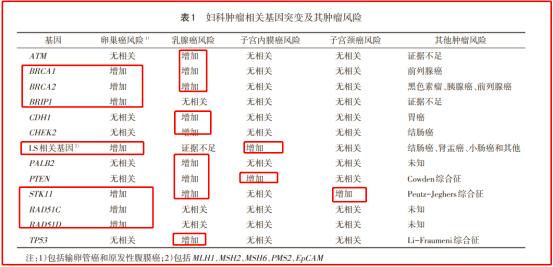 这些恶性肿瘤能提前“扼杀在摇篮里”？原因就在这里