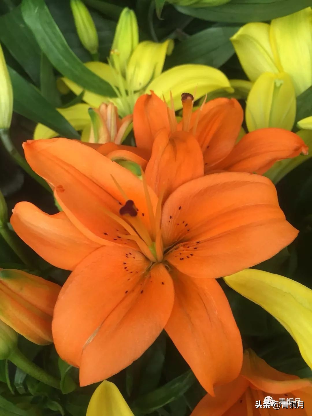 写雪惊艳的诗词,唐宋关于写雪的诗词