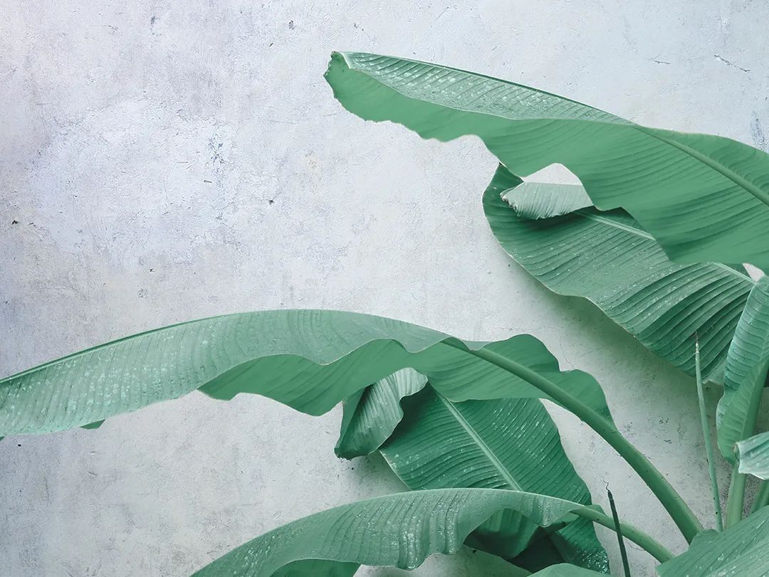 遇到坏脾气的男人,怎么对抗老公坏脾气