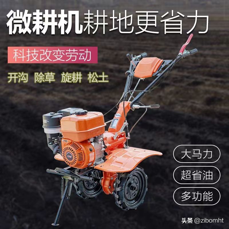 现在投资种植猕猴桃前景好吗,博山猕猴桃种植技术