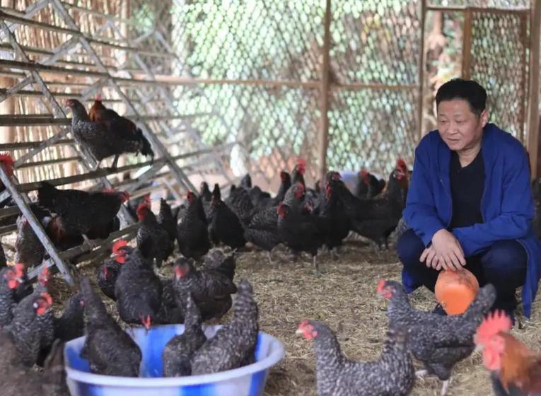 三德子不让吃鸡,三德子管家吃鸡完整版