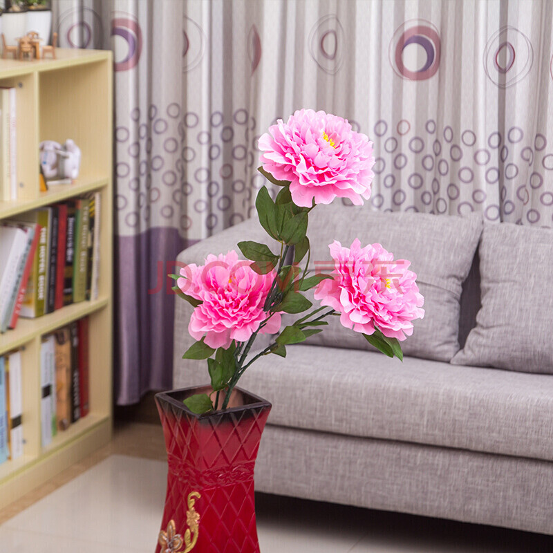 客厅有树对风水有何影响,客厅树木风水布局